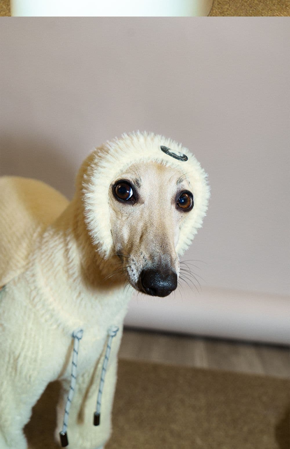 SnugHugs SnugHugs | Faux Mink Knit Dog Jumpsuit 7