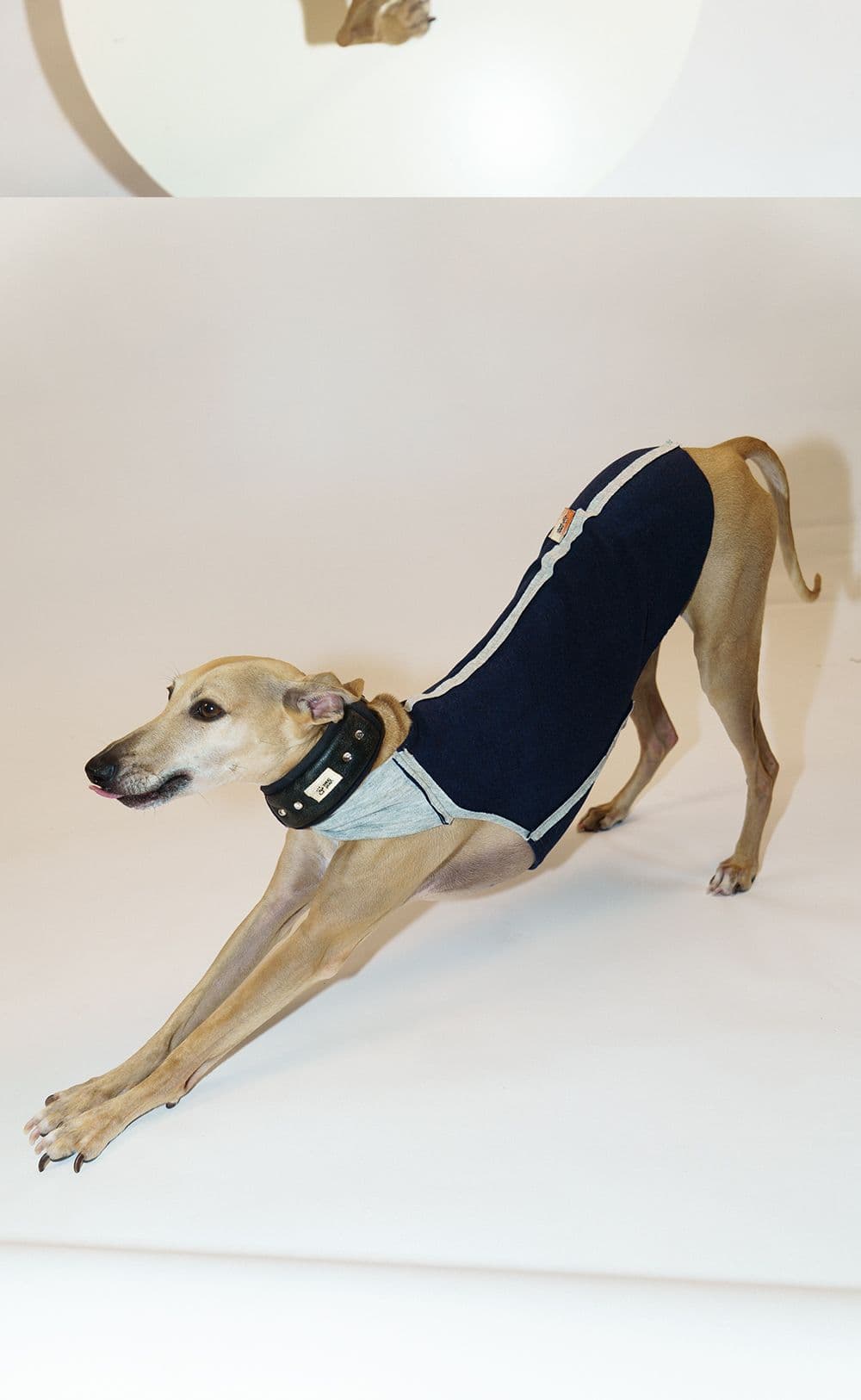 SnugHugs SnugHugs | MISTY Double-Sided Vest 17