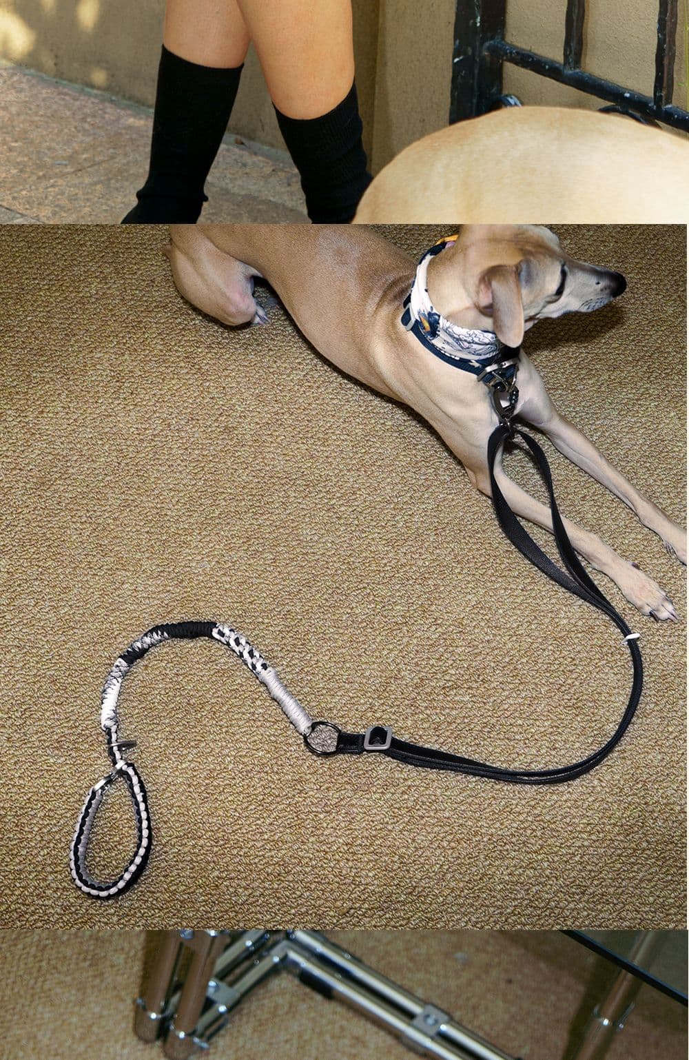 SnugHugs SnugHugs | Black & White Woven Leash 5