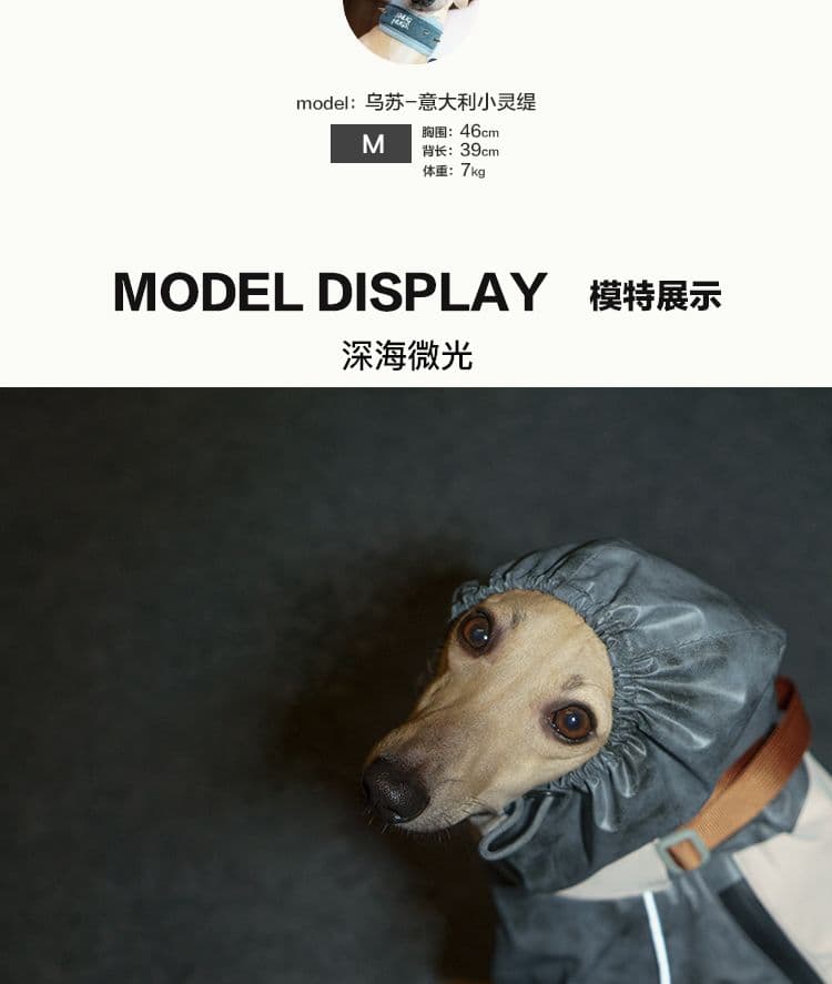 SnugHugs SnugHugs | Lightweight Outdoor Windbreaker & Raincoat 8