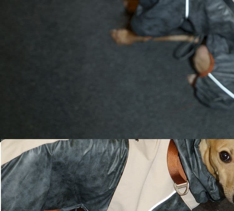 SnugHugs SnugHugs | Lightweight Outdoor Windbreaker & Raincoat 9