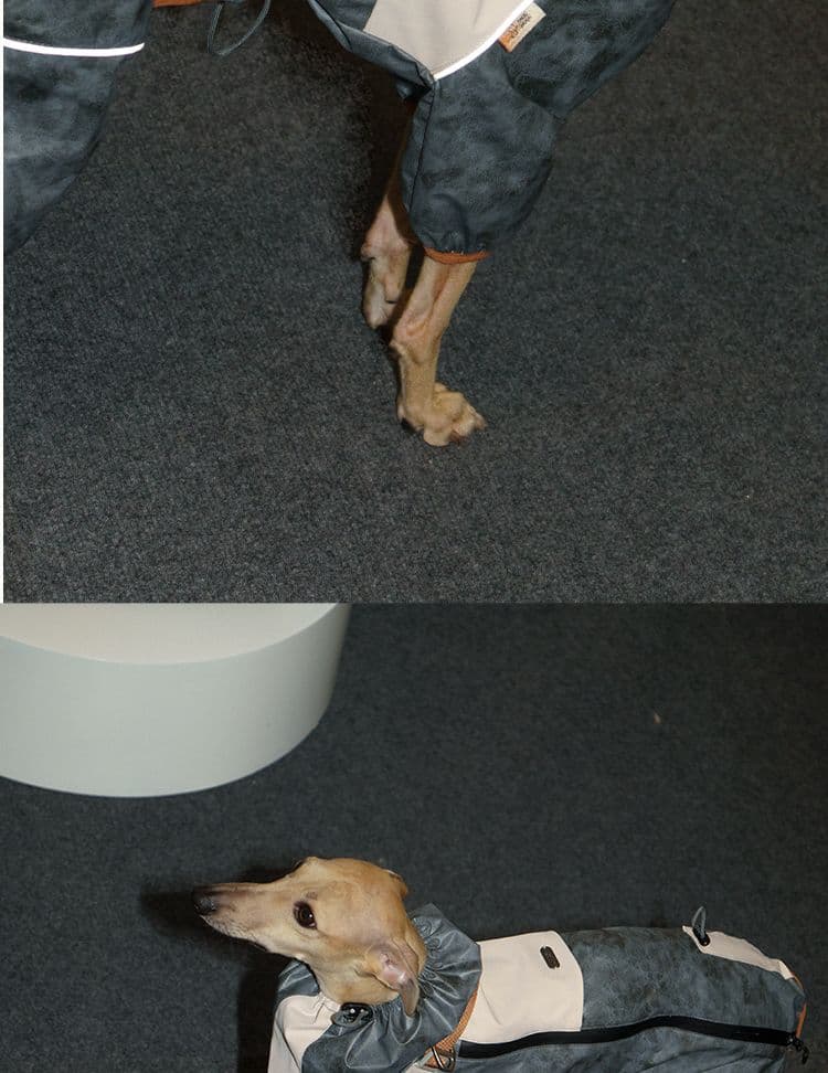 SnugHugs SnugHugs | Lightweight Outdoor Windbreaker & Raincoat 10