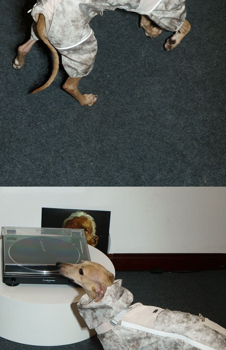 SnugHugs SnugHugs | Lightweight Outdoor Windbreaker & Raincoat 23