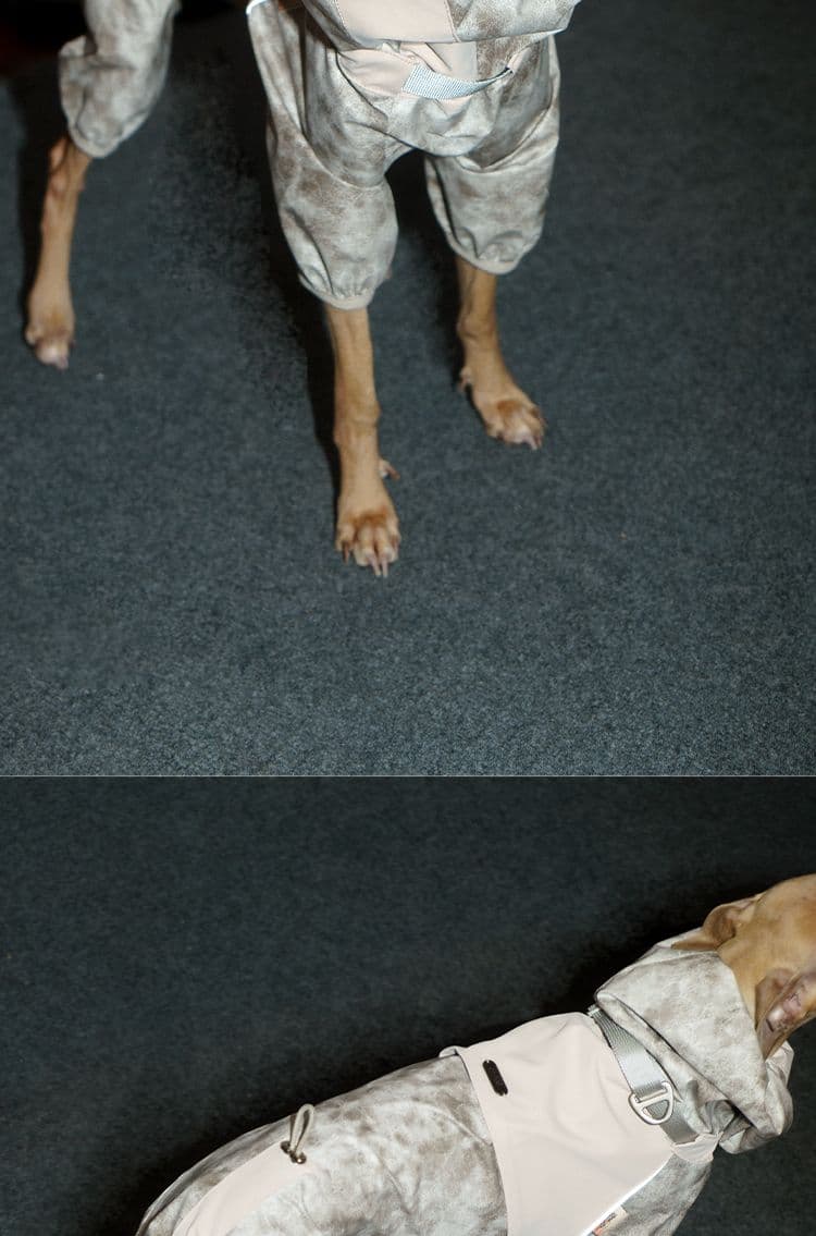 SnugHugs SnugHugs | Lightweight Outdoor Windbreaker & Raincoat 22