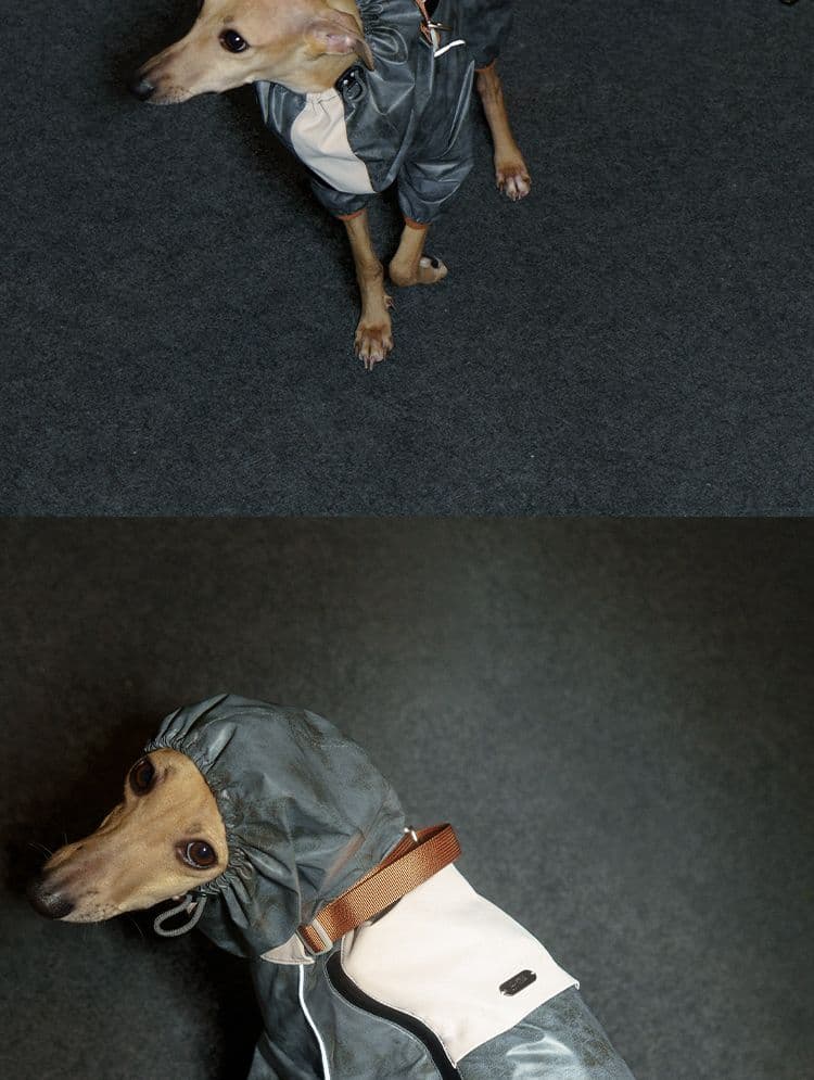 SnugHugs SnugHugs | Lightweight Outdoor Windbreaker & Raincoat 15