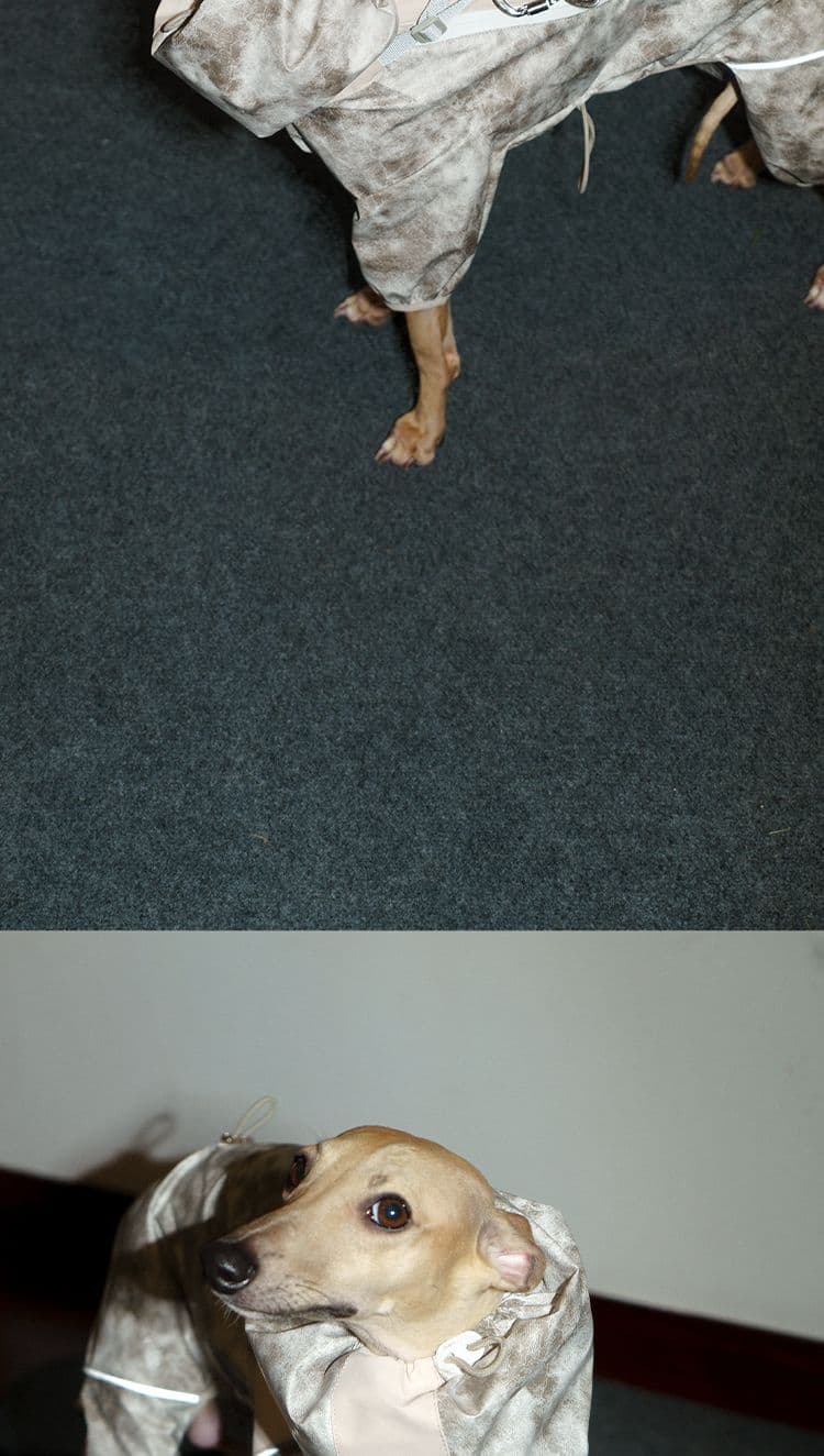 SnugHugs SnugHugs | Lightweight Outdoor Windbreaker & Raincoat 21