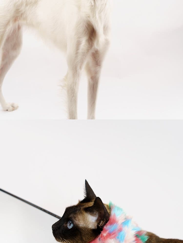 SnugHugs SnugHugs | Plush Scarf Collar 16