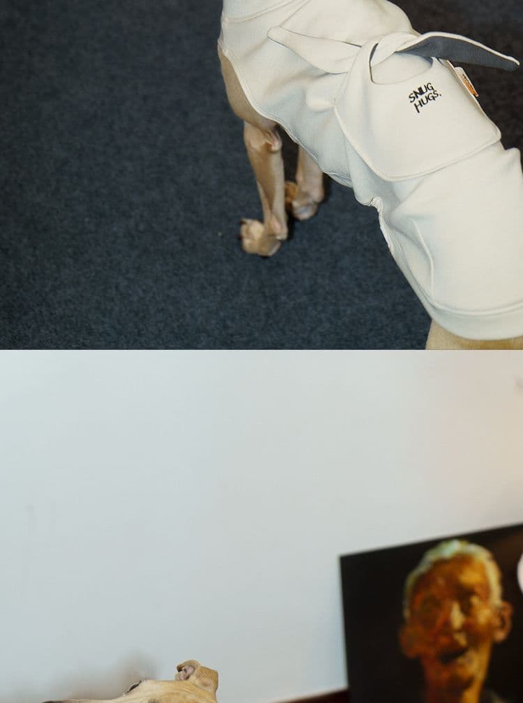 SnugHugs SnugHugs | Plush Scarf Collar 11