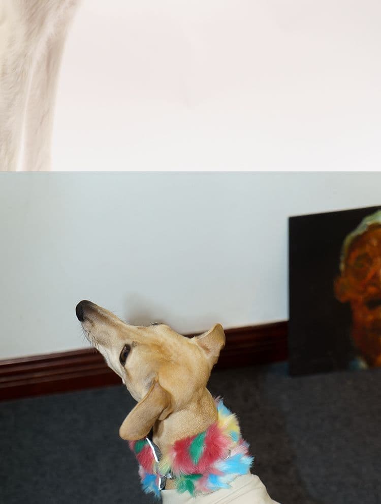 SnugHugs SnugHugs | Plush Scarf Collar 10