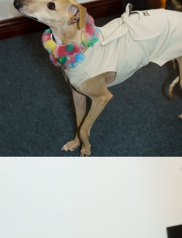 SnugHugs SnugHugs | Plush Scarf Collar 12