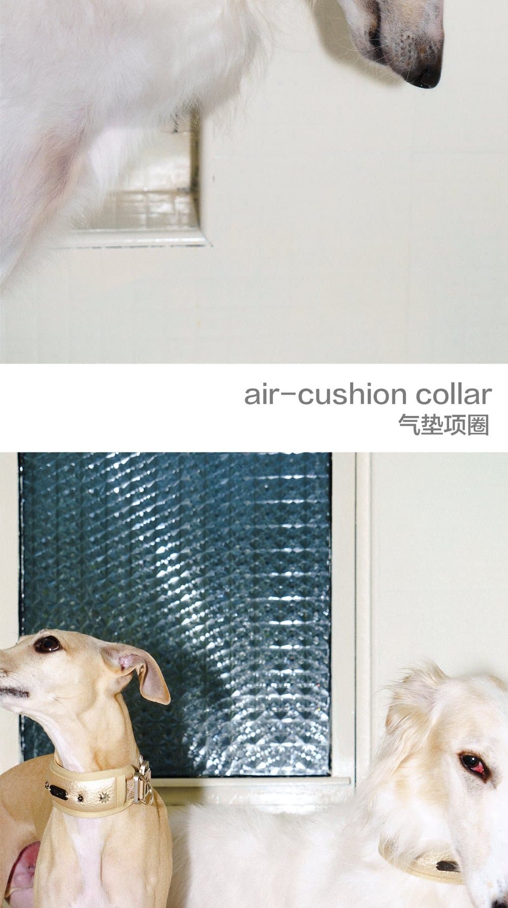 SnugHugs SnugHugs|Candlelight Gold Collar 2