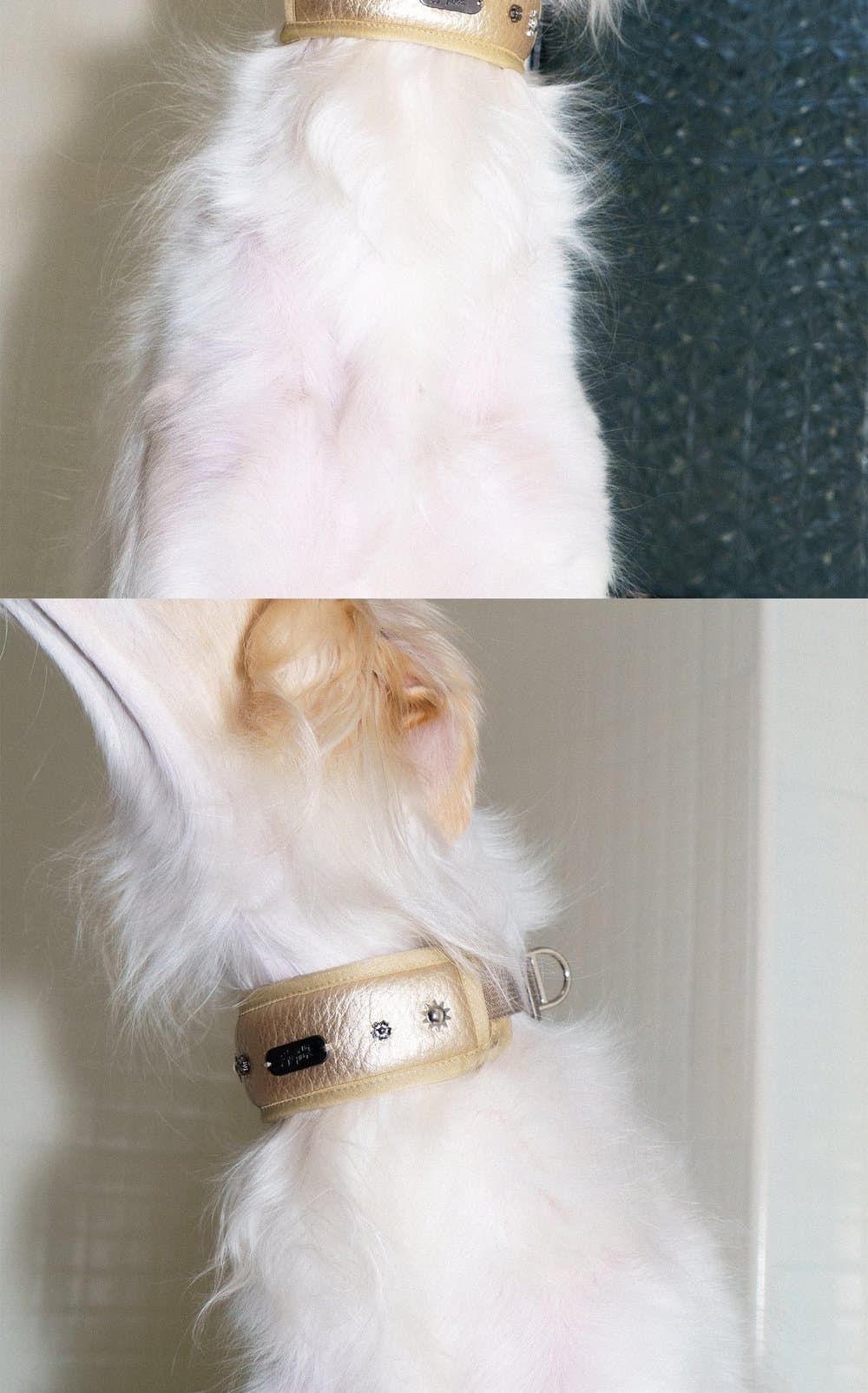 SnugHugs SnugHugs|Candlelight Gold Collar 6