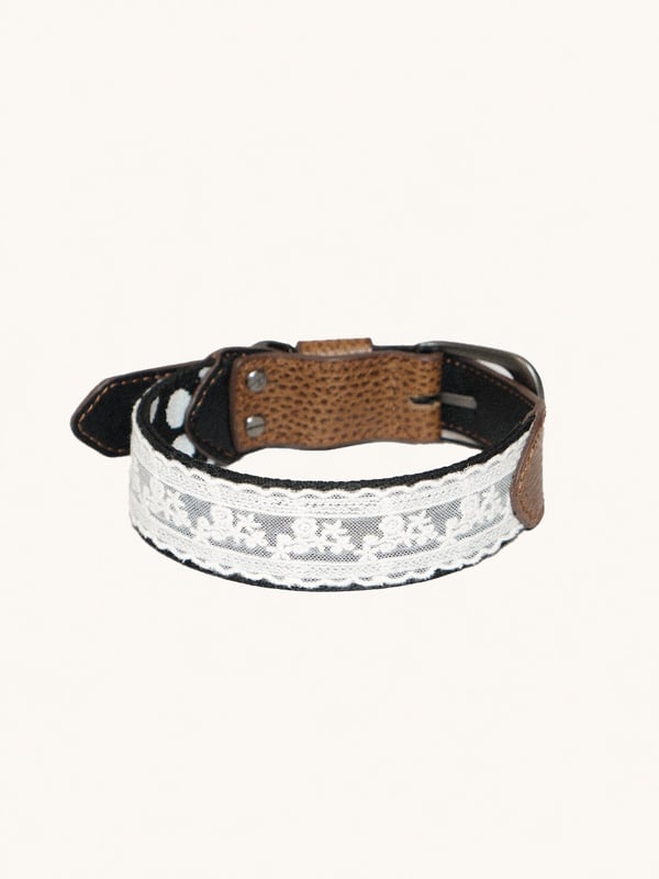 Lace Polka Collar