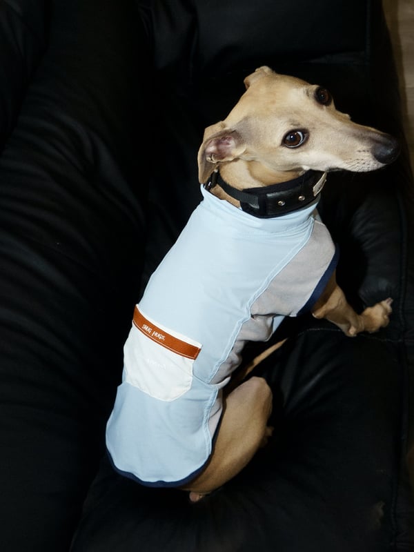 Stay Cool Vest