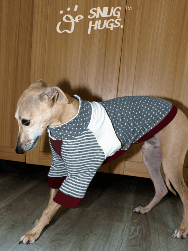 SnugHugs | Fleck Retro Colorblock Jumpsuit