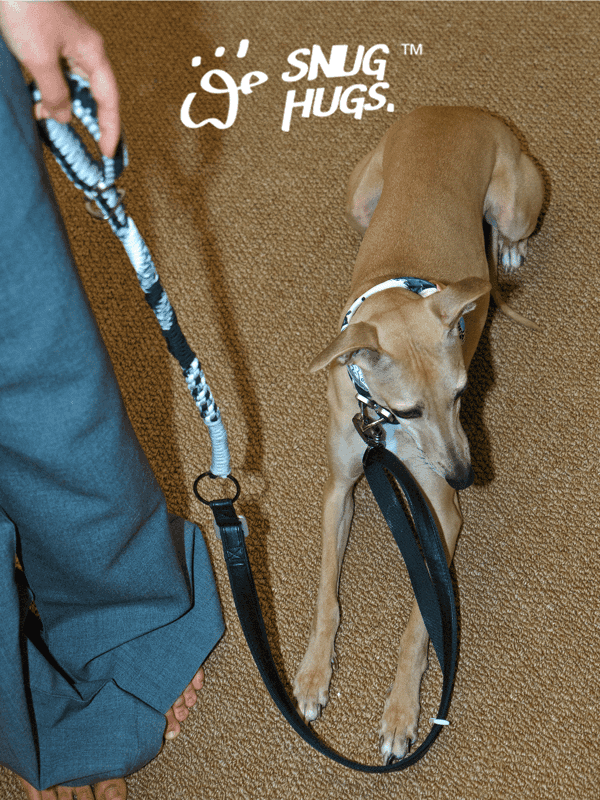 SnugHugs | Black & White Woven Leash