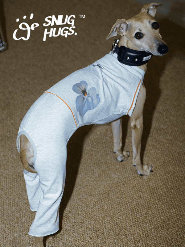 SnugHugs | Floral Flared Pants — Fits Italian Greyhounds or Whippets
