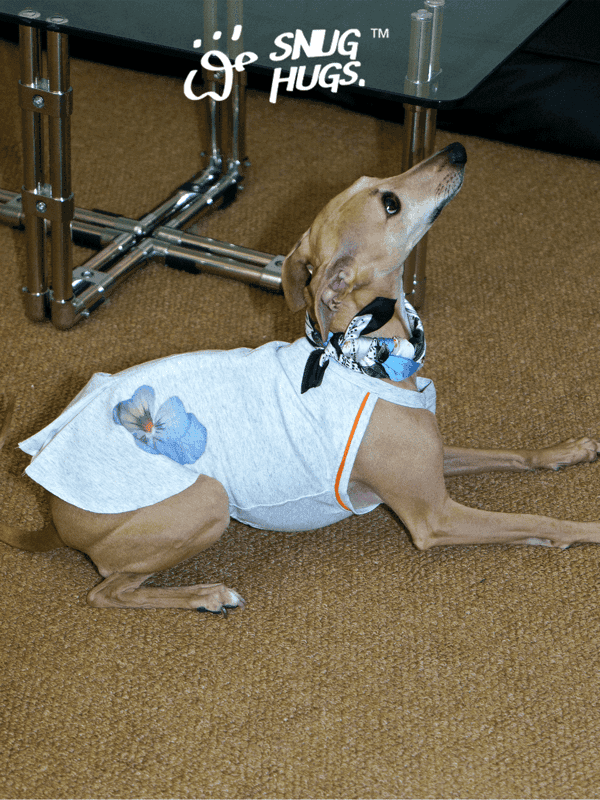SnugHugs | Floral Vest — Suitable for All Pets in Size