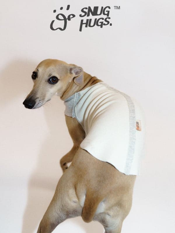 SnugHugs SnugHugs | MISTY Double-Sided Vest Snow White — 雪白 7