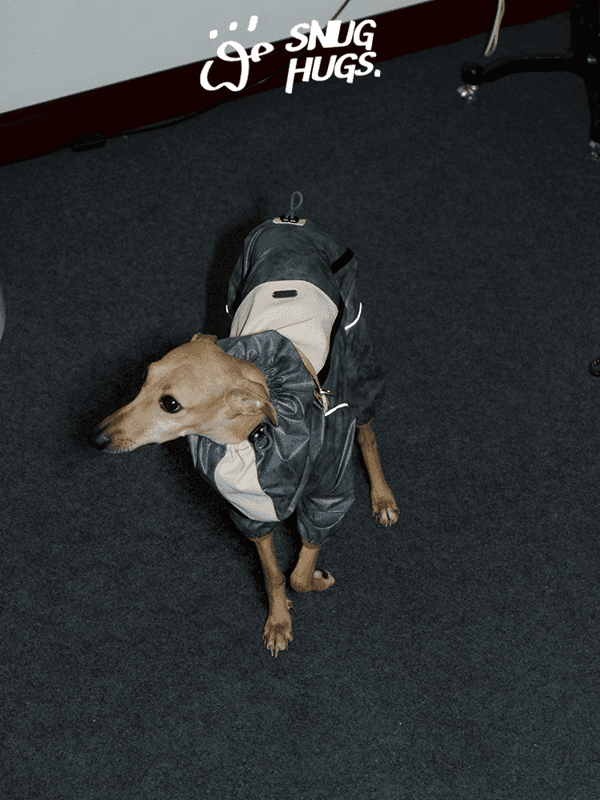 SnugHugs SnugHugs | Lightweight Outdoor Windbreaker & Raincoat Midnight Ocean 1