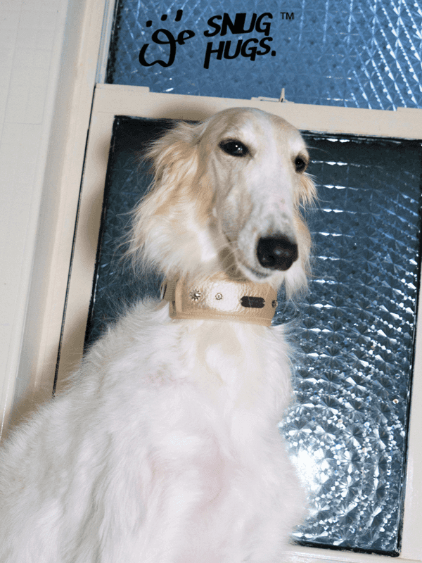 SnugHugs SnugHugs|Candlelight Gold Collar Candlelight Gold 1