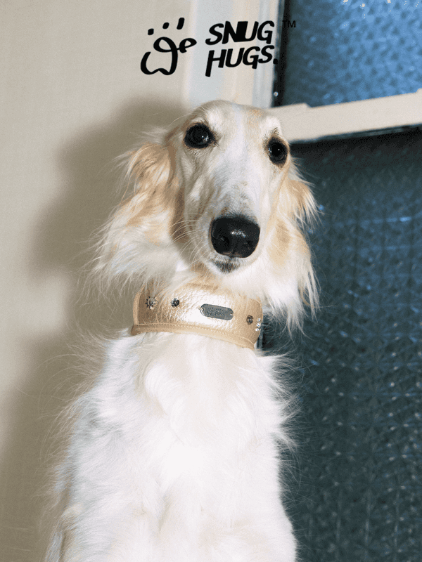 SnugHugs SnugHugs|Candlelight Gold Collar Candlelight Gold 8