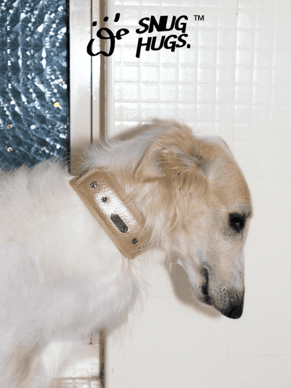 SnugHugs SnugHugs|Candlelight Gold Collar Candlelight Gold 3