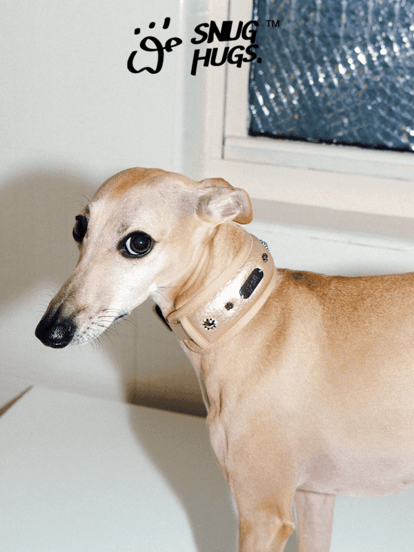 SnugHugs SnugHugs|Candlelight Gold Collar Candlelight Gold 7