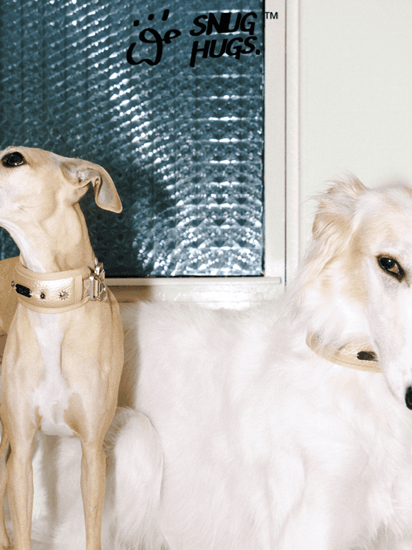 SnugHugs SnugHugs|Candlelight Gold Collar Candlelight Gold 6